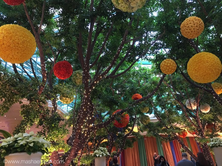 Decorations wynn.jpeg