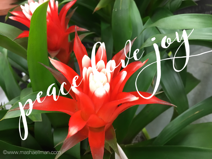 peace-love-joy