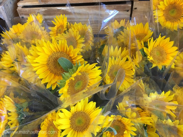 Yellow sunflowers.jpeg